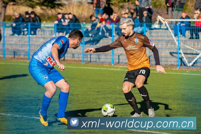 2026世界杯 App 多端展示图