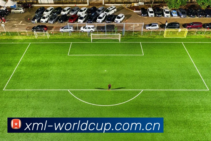 2026世界杯 App界面演示